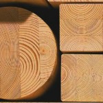 Строительство деревянного дома: оцилиндрованное бревно или брус